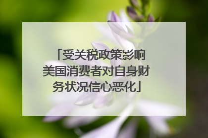 受关税政策影响 美国消费者对自身财务状况信心恶化