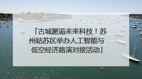 古城邂逅未来科技！苏州姑苏区举办人工智能与低空经济路演对接活动