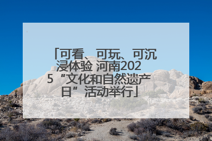 可看、可玩、可沉浸体验 河南2025“文化和自然遗产日”活动举行