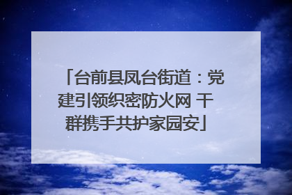 台前县凤台街道：党建引领织密防火网 干群携手共护家园安