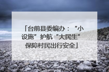 台前县委编办：“小设施”护航“大民生” 保障村民出行安全