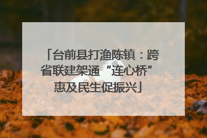 台前县打渔陈镇：跨省联建架通“连心桥” 惠及民生促振兴