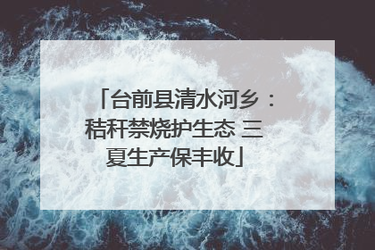 台前县清水河乡：秸秆禁烧护生态 三夏生产保丰收