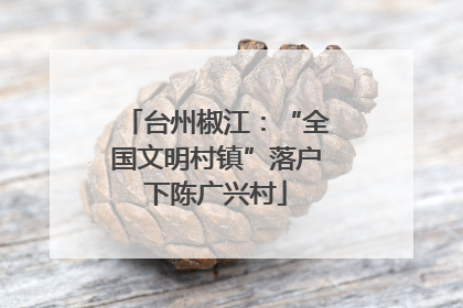台州椒江：“全国文明村镇”落户下陈广兴村