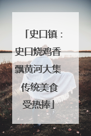 史口镇：史口烧鸡香飘黄河大集 传统美食受热捧