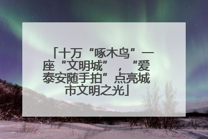 十万“啄木鸟”一座“文明城”，“爱泰安随手拍”点亮城市文明之光