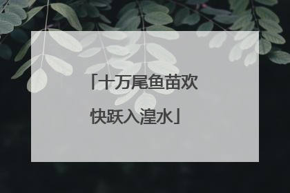 十万尾鱼苗欢快跃入湟水
