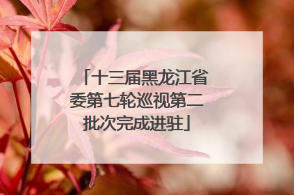 十三届黑龙江省委第七轮巡视第二批次完成进驻