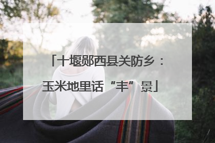 十堰郧西县关防乡：玉米地里话“丰”景
