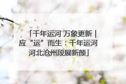 千年运河 万象更新｜应“运”而生：千年运河河北沧州段展新颜