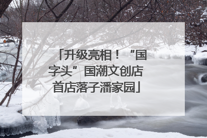 升级亮相！“国字头”国潮文创店首店落子潘家园