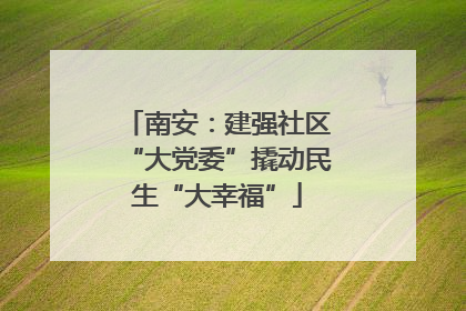 南安：建强社区“大党委”撬动民生“大幸福”