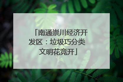 南通崇川经济开发区：垃圾巧分类 文明花竞开
