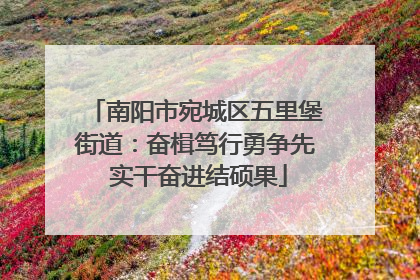 南阳市宛城区五里堡街道：奋楫笃行勇争先 实干奋进结硕果