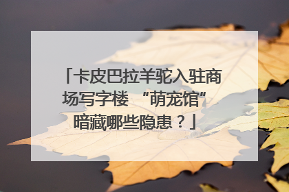 卡皮巴拉羊驼入驻商场写字楼 “萌宠馆”暗藏哪些隐患？