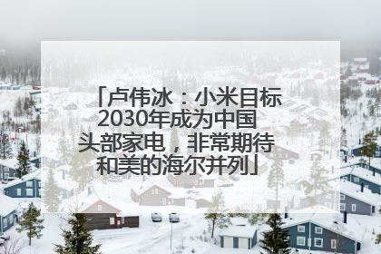 卢伟冰：小米目标2030年成为中国头部家电，非常期待和美的海尔并列