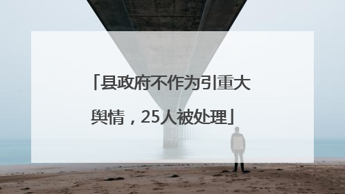 县政府不作为引重大舆情，25人被处理