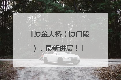 厦金大桥（厦门段），最新进展！