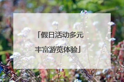 假日活动多元 丰富游览体验