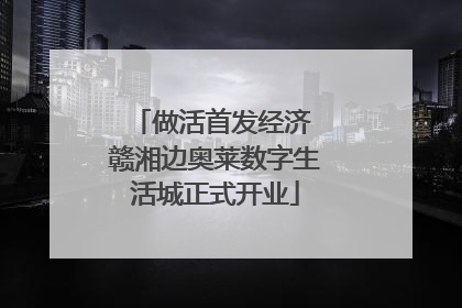 做活首发经济 赣湘边奥莱数字生活城正式开业