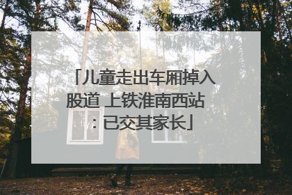 儿童走出车厢掉入股道 上铁淮南西站：已交其家长
