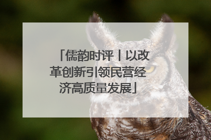 儒韵时评丨以改革创新引领民营经济高质量发展