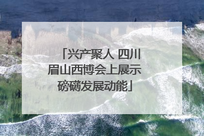 兴产聚人 四川眉山西博会上展示磅礴发展动能