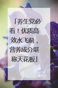 养生党必看！优质高效水飞蓟，营养成分堪称天花板