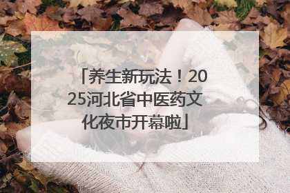 养生新玩法！2025河北省中医药文化夜市开幕啦