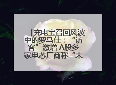 充电宝召回风波中的罗马仕：“访客”激增 A股多家电芯厂商称“未供货”