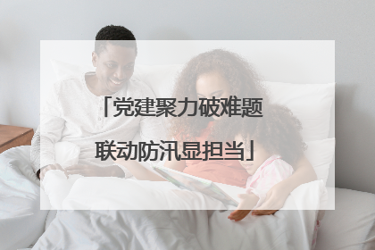 党建聚力破难题 联动防汛显担当