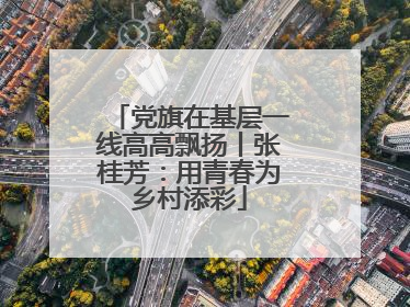党旗在基层一线高高飘扬丨张桂芳：用青春为乡村添彩