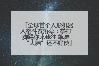 全球首个人形机器人格斗赛落幕：拳打脚踢你来我往 就是“大脑”还不好使