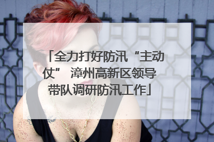 全力打好防汛“主动仗” 漳州高新区领导带队调研防汛工作
