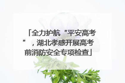 全力护航“平安高考”，湖北孝感开展高考前消防安全专项检查