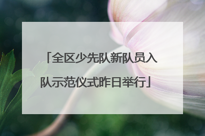 全区少先队新队员入队示范仪式昨日举行