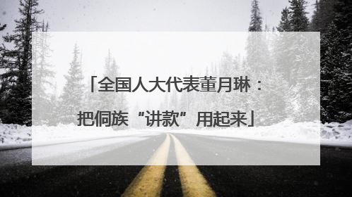 全国人大代表董月琳：把侗族“讲款”用起来