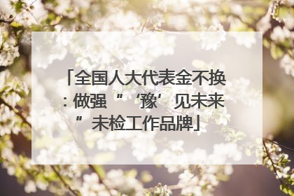 全国人大代表金不换：做强“‘豫’见未来”未检工作品牌