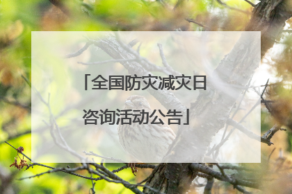 全国防灾减灾日咨询活动公告