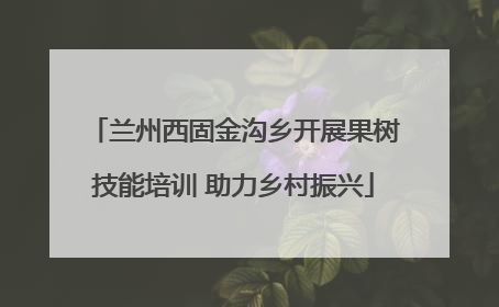 兰州西固金沟乡开展果树技能培训 助力乡村振兴