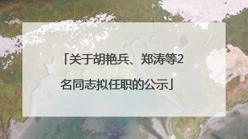 关于胡艳兵、郑涛等2名同志拟任职的公示