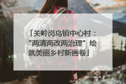 关岭岗乌镇中心村：“两清两改两治理”绘就美丽乡村新画卷