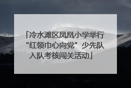 冷水滩区凤凰小学举行“红领巾心向党”少先队入队考核闯关活动