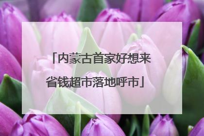 内蒙古首家好想来省钱超市落地呼市