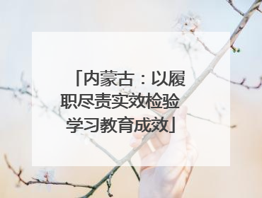 内蒙古：以履职尽责实效检验学习教育成效