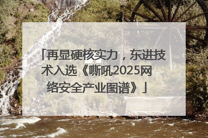 再显硬核实力，东进技术入选《嘶吼2025网络安全产业图谱》