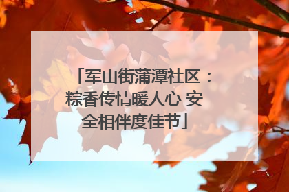 军山街蒲潭社区：粽香传情暖人心 安全相伴度佳节