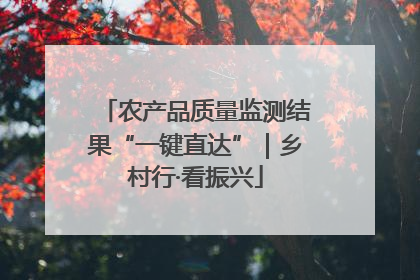 农产品质量监测结果“一键直达”｜乡村行·看振兴