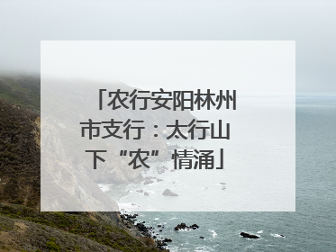 农行安阳林州市支行：太行山下“农”情涌