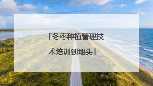 冬枣种植管理技术培训到地头